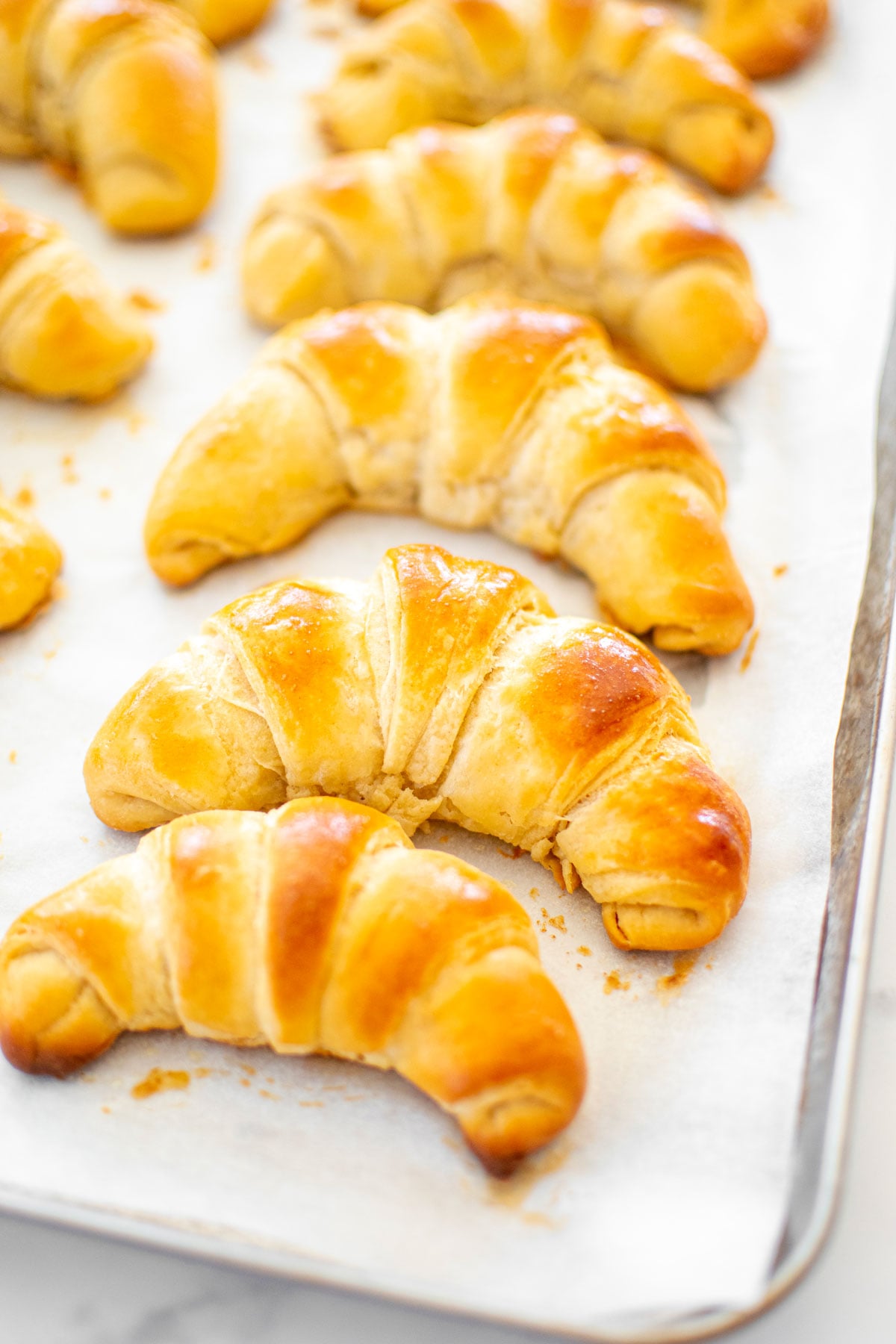 sourdough crescent rolls baked on a baking sheet.
