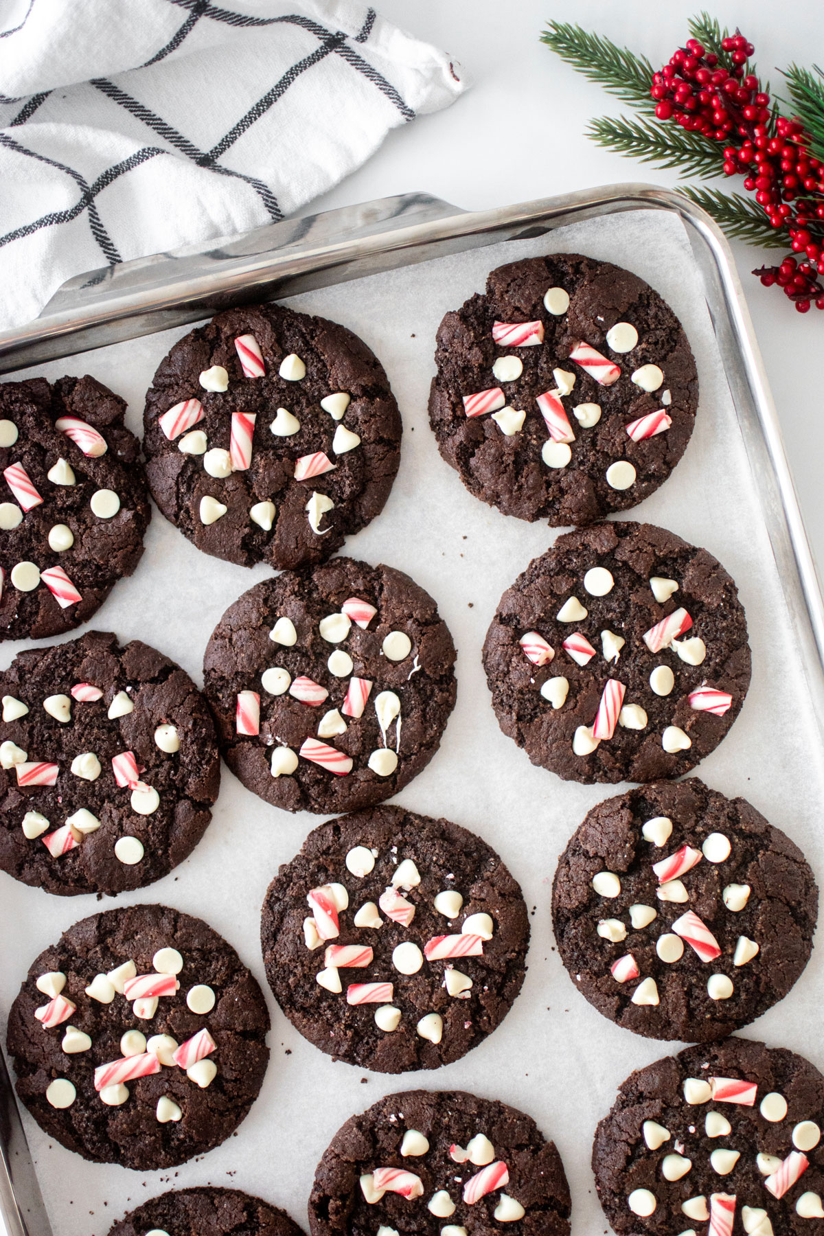 baking sheet of chocolate christmas cookies with candy canes on top on a baking sheet.