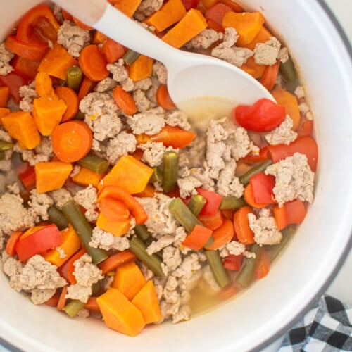 homemade turkey dog food recipe in a dutch oven on a white countertop.