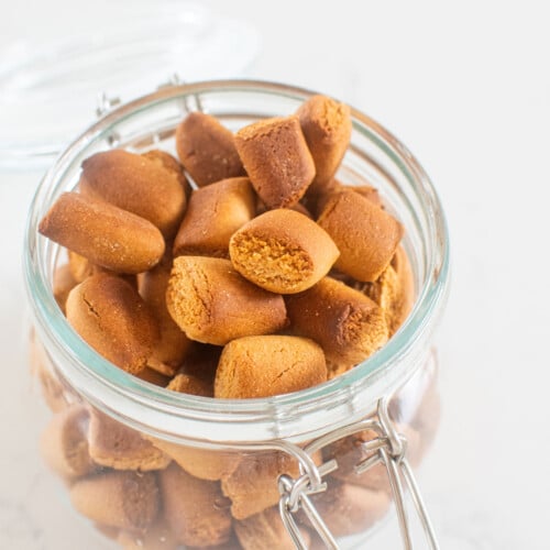mini peanut butter oat dog treats in a glass container on the kitchen counter.
