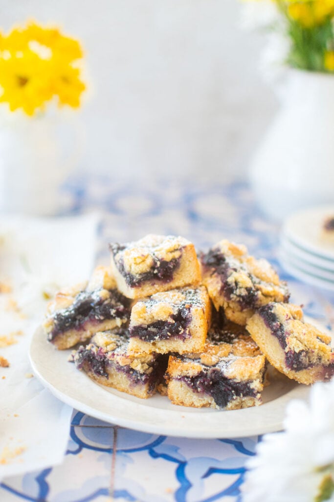 sourdough blueberry crumb bars