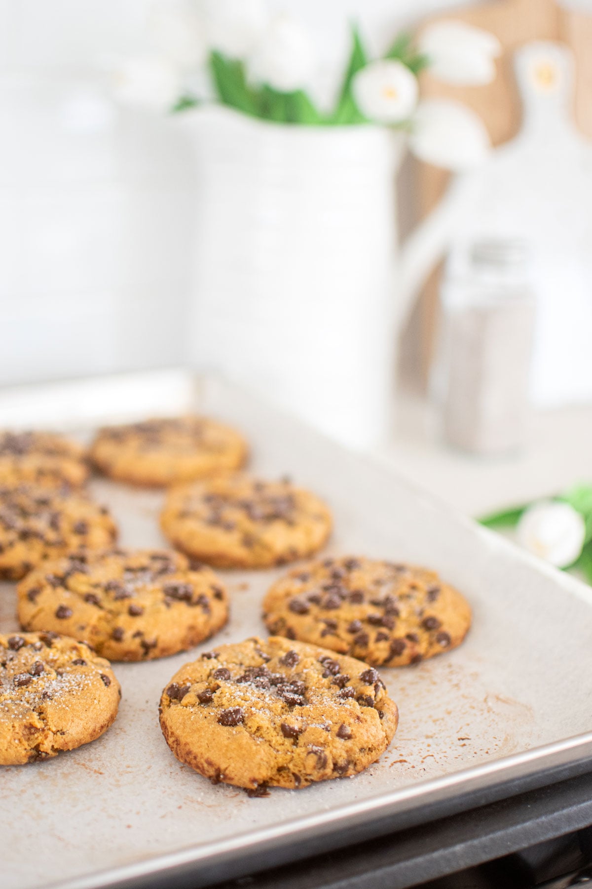 vanilla sea salt chocolate chip cookies on a baking sheet on top of the oven.