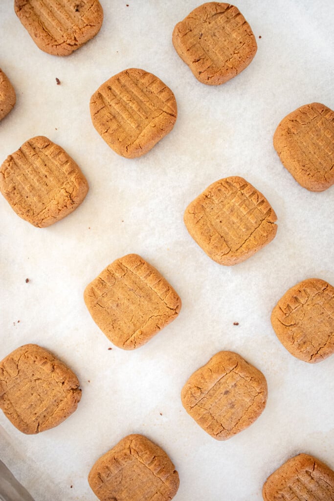mushroom peanut butter dog treats on a baking sheet.