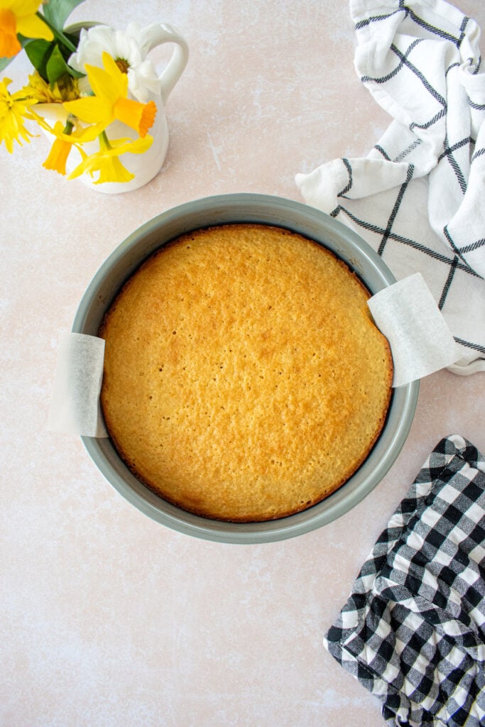 plain vanilla cake in the sur lal table cake pan.