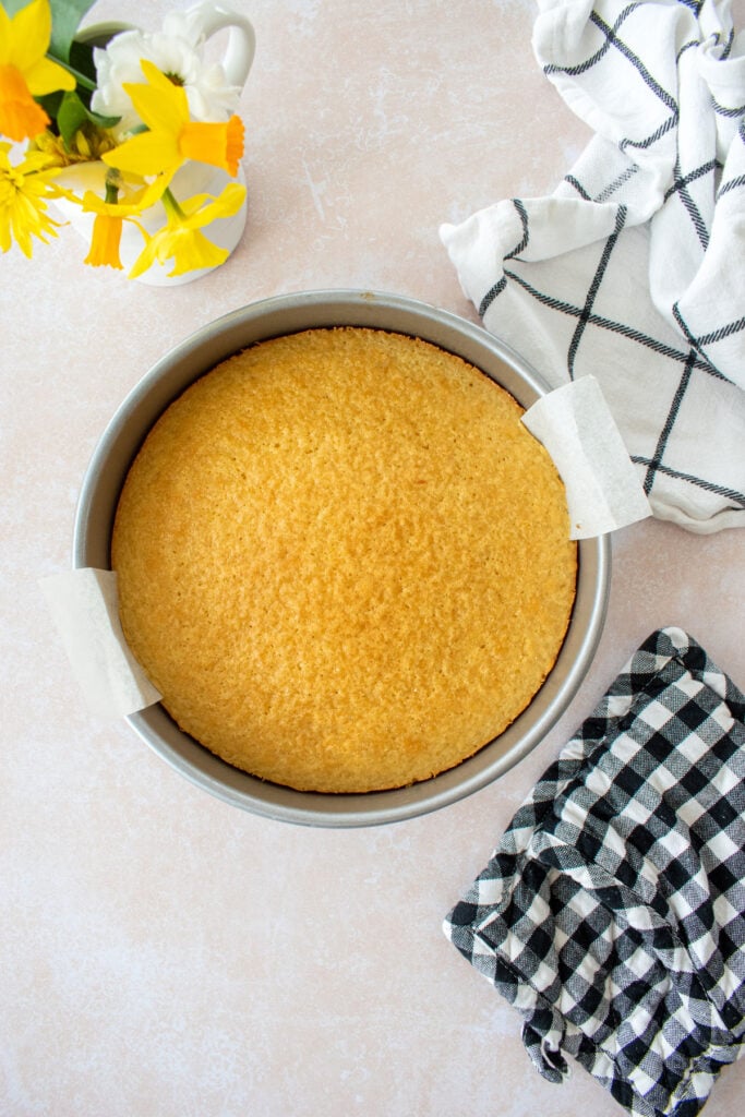 plain vanilla cake in the usa cake pan.