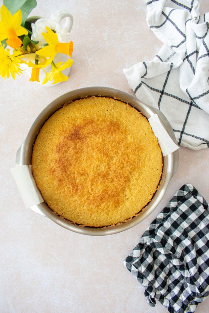 vanilla cake in the kana goods stainless steel cake pan.