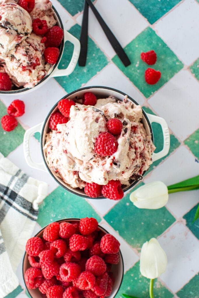 raspberry chocolate chip ice cream