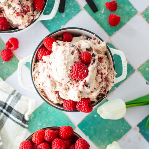 raspberry chocolate chip ice cream