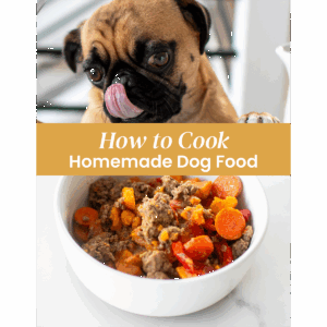 how to cook homemade food for dogs