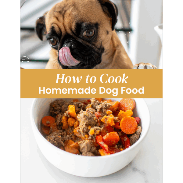 how to cook homemade food for dogs