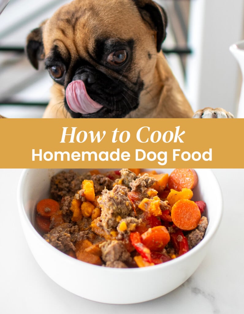 how to cook homemade dog food