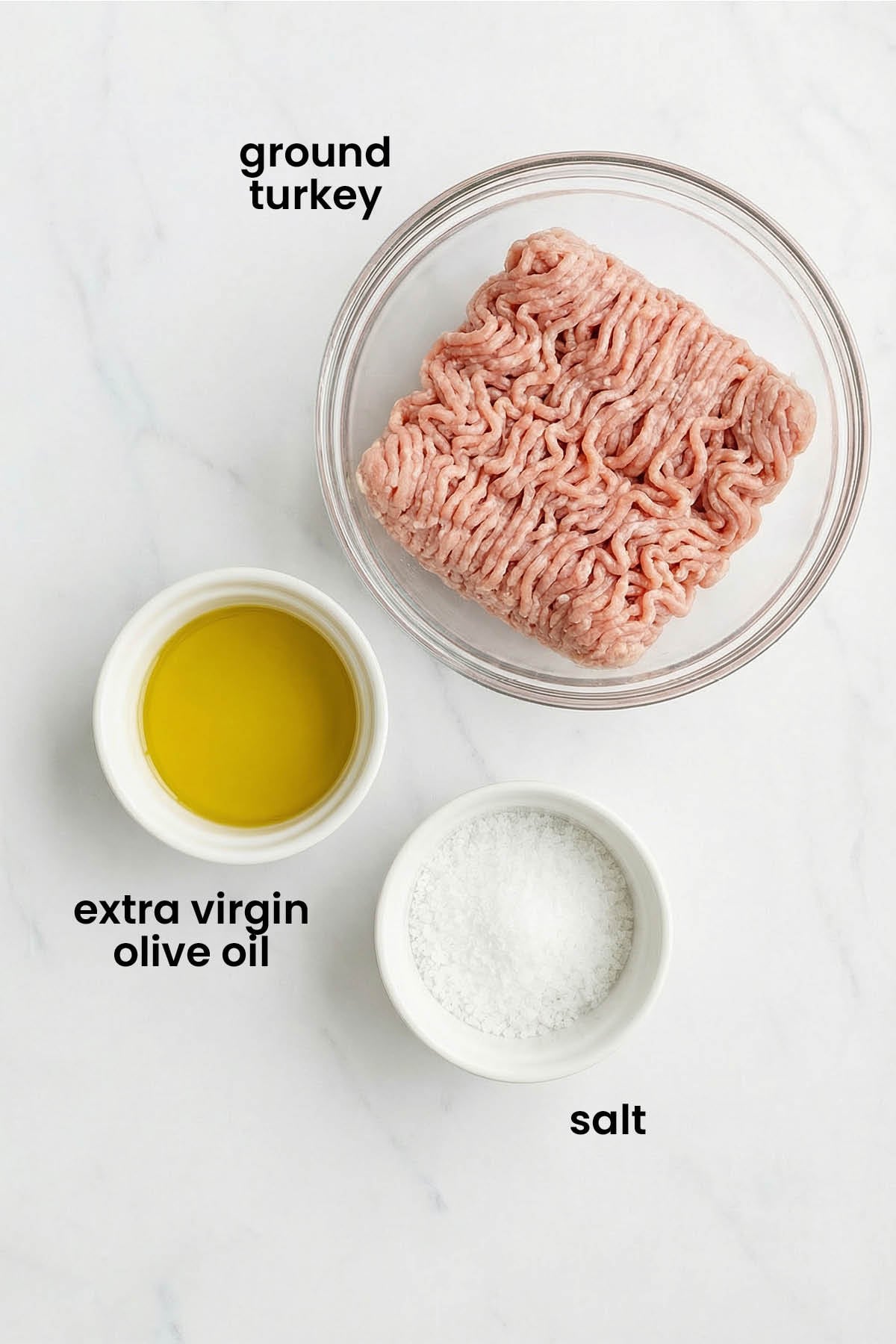 individual ingredients for how to cook ground turkey for dogs laid out against a white background.