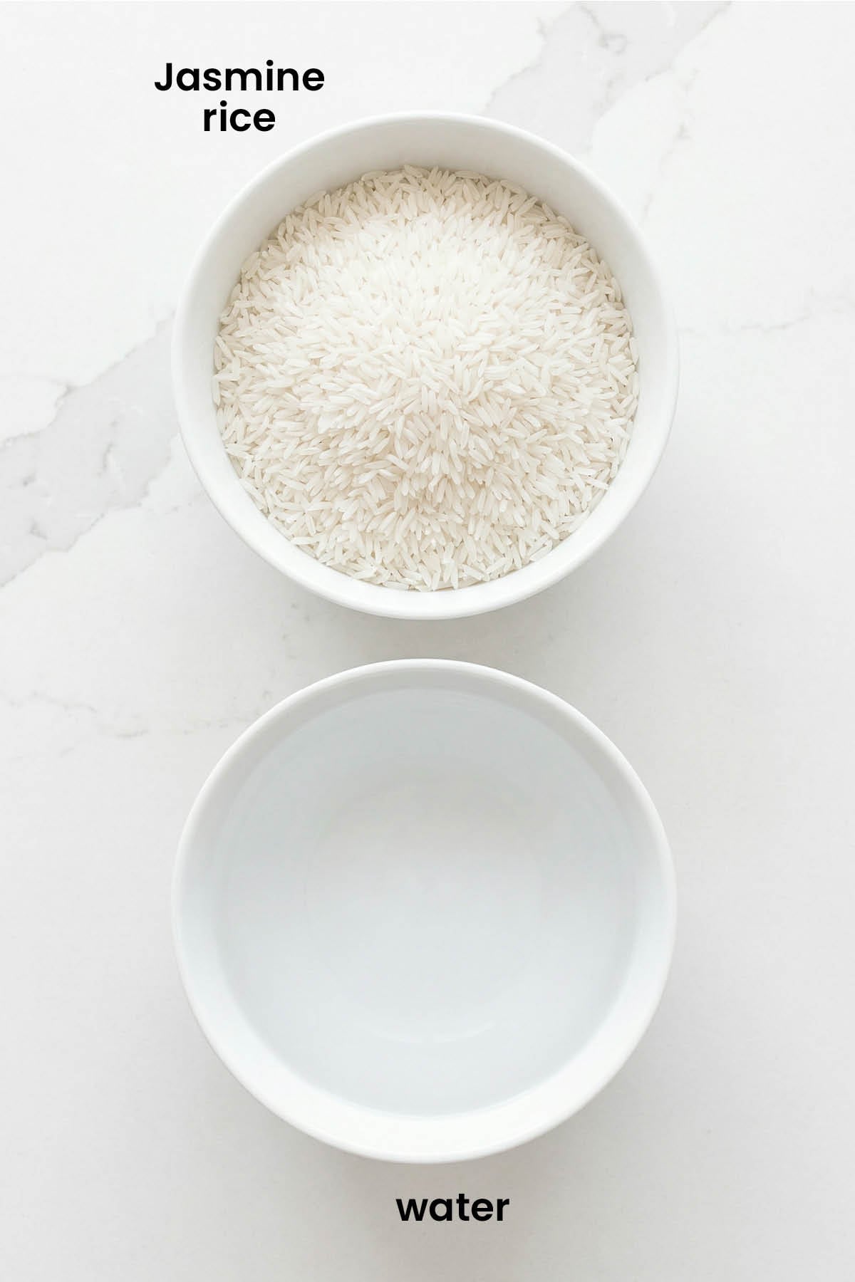 individual ingredients for rice for dogs laid out against a white background.