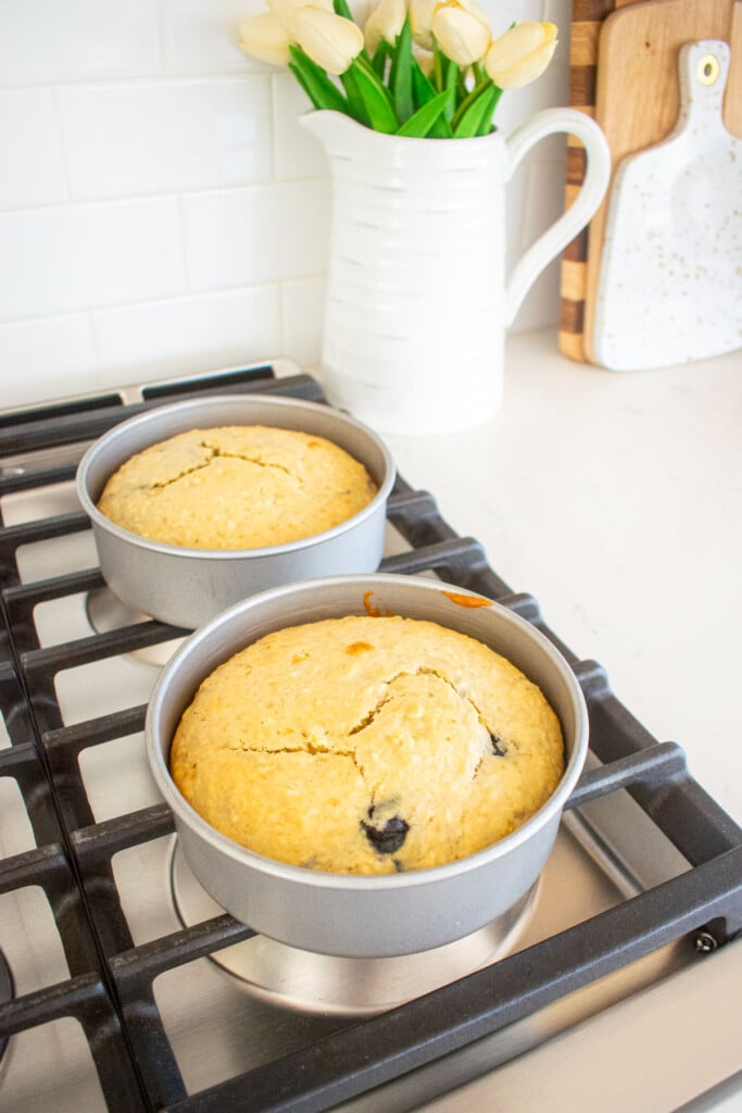 dog birthday cakes in cake pans cooling on top of an oven.