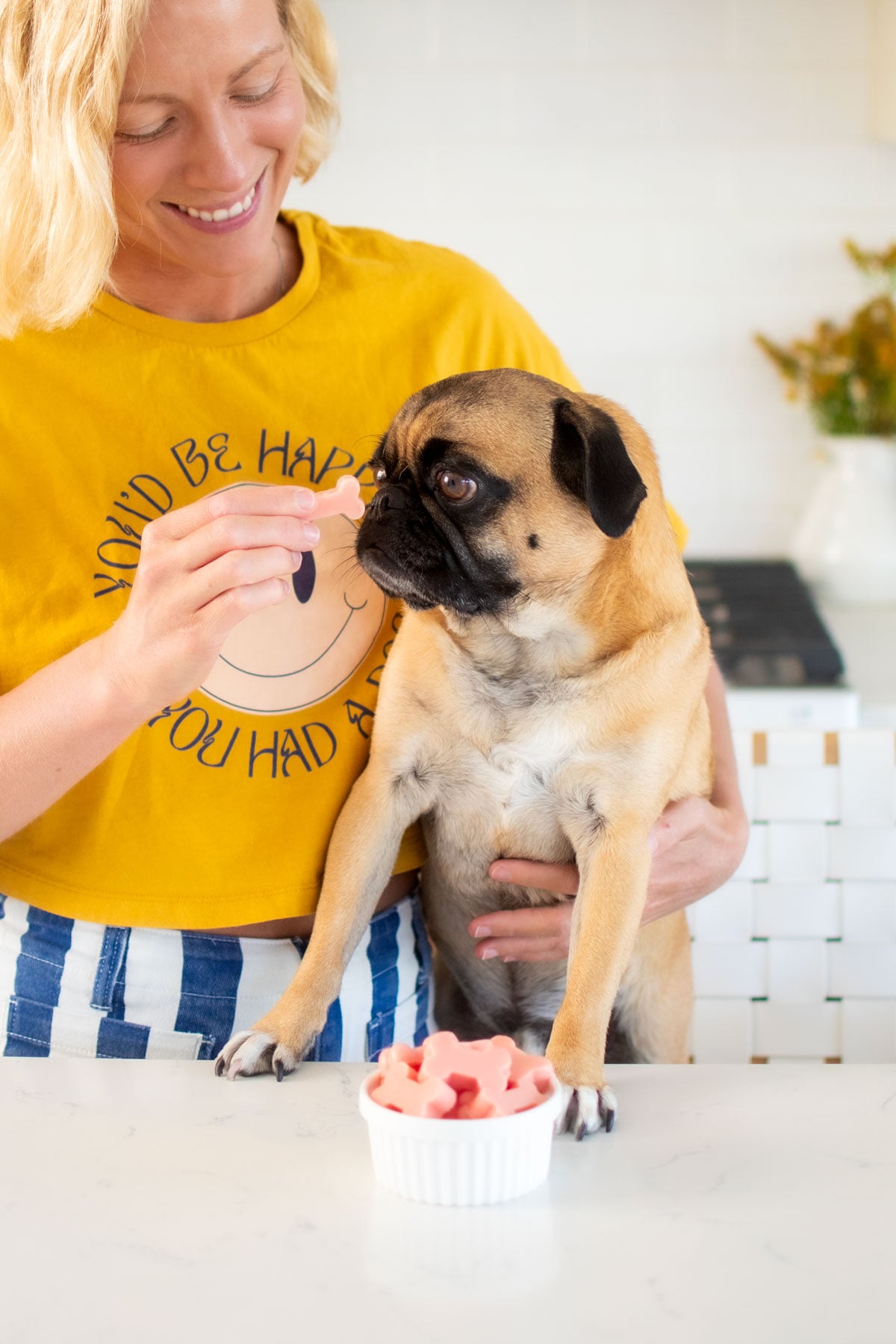 pug eating watermelon dog popsicles at the kitchen counter being fed by a woman.