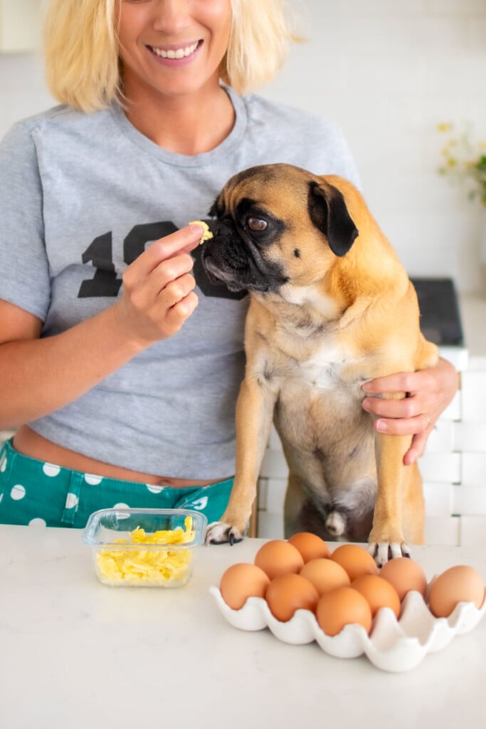 woman and pug in kitchen with a tupperware of scrambled eggs and a tray of brown eggs.